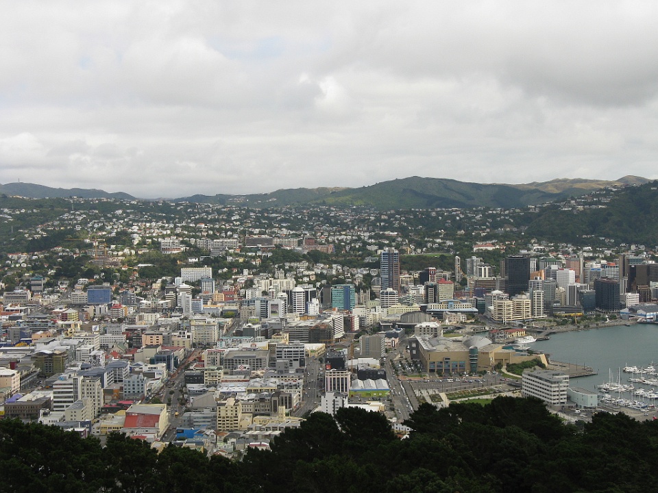 View on Central Wellington From Mount Victoria